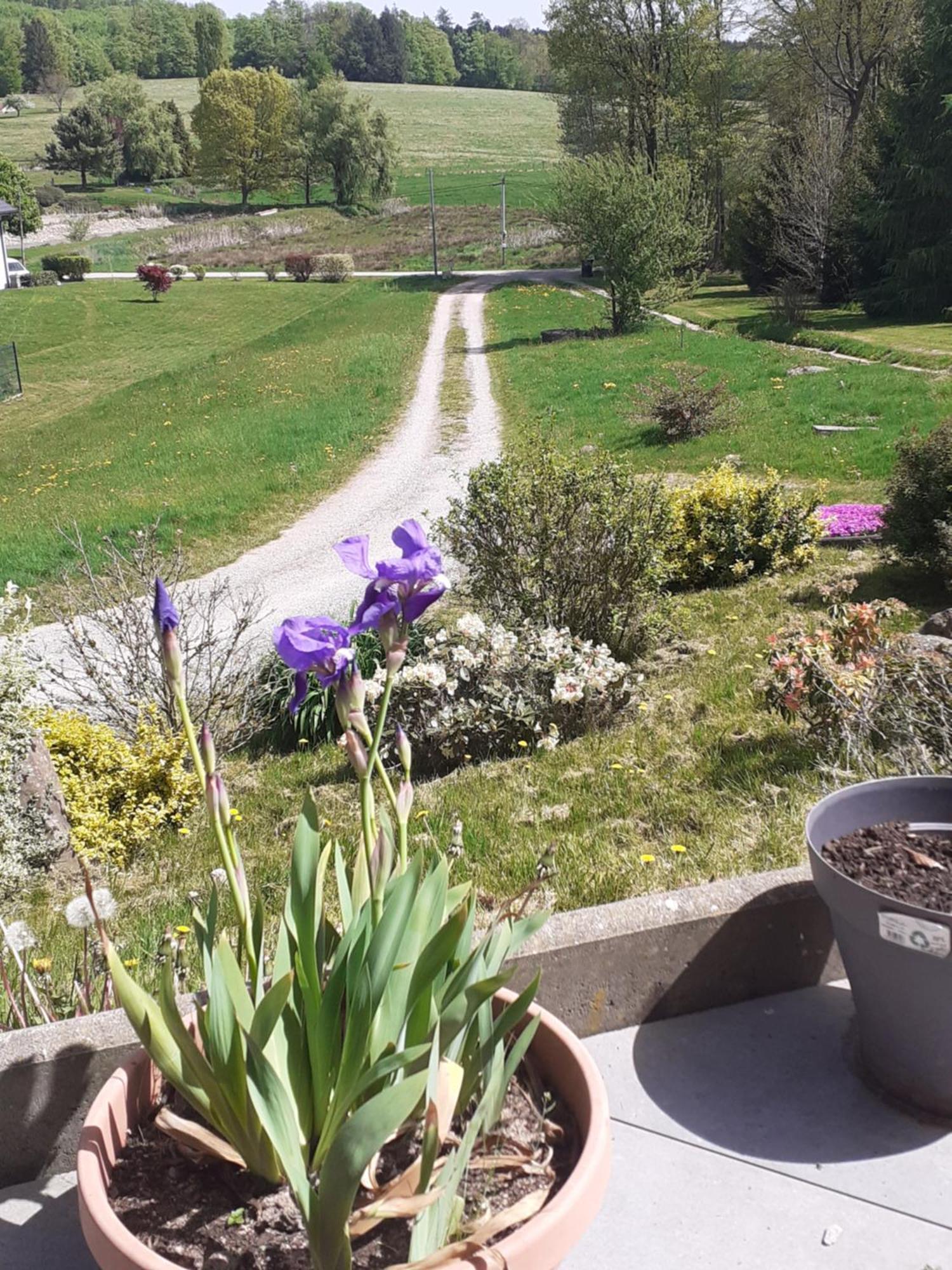 Chez Papy Bed & Breakfast Bellefontaine  Exterior foto